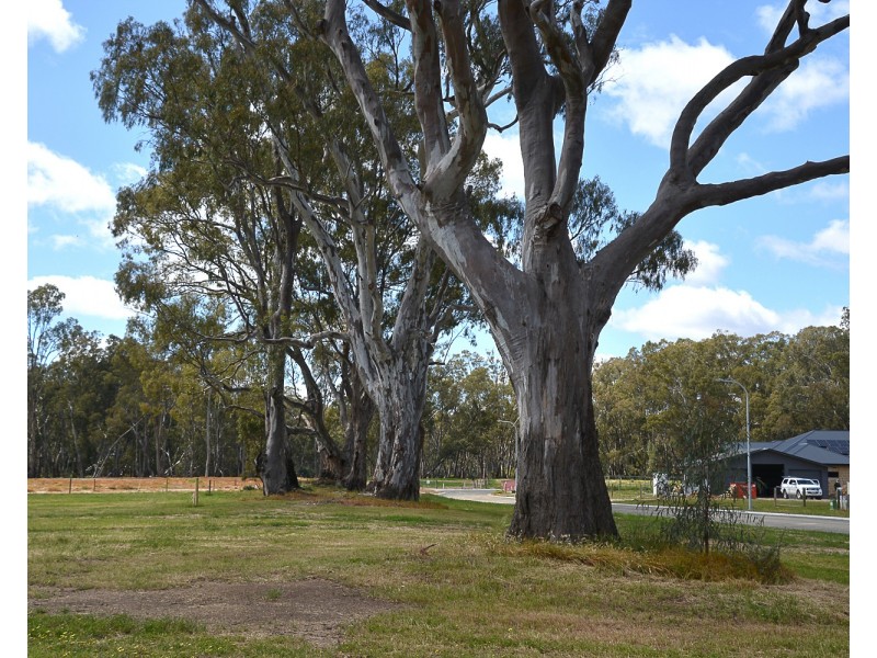 Lot 31-37 River Estate, River View Drive, Barham NSW 2732