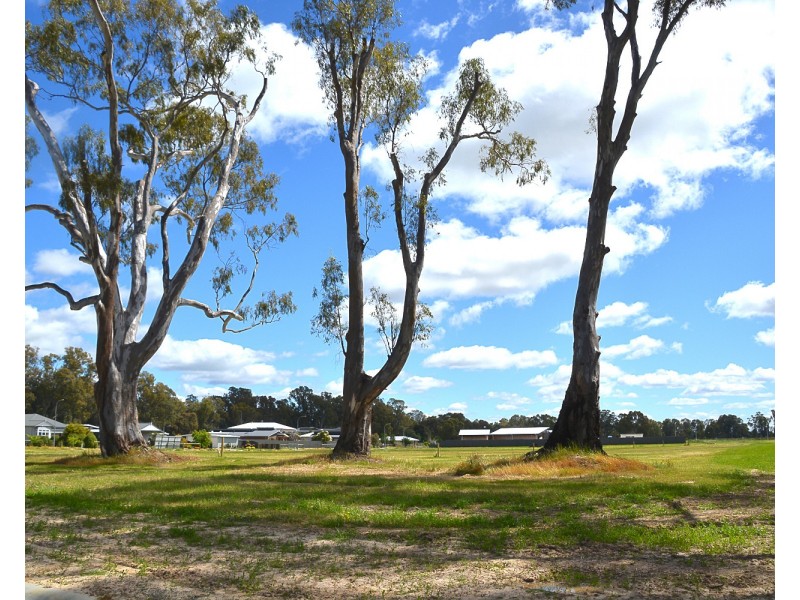 Lot 31-37 River Estate, River View Drive, Barham NSW 2732