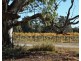 Lot 31-37 River Estate, River View Drive, Barham NSW 2732