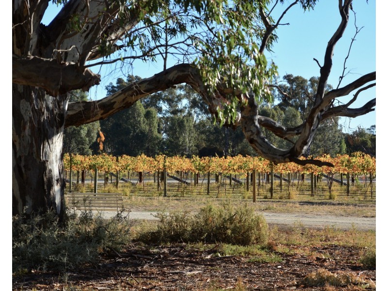 Lot 31-37 River Estate, River View Drive, Barham NSW 2732