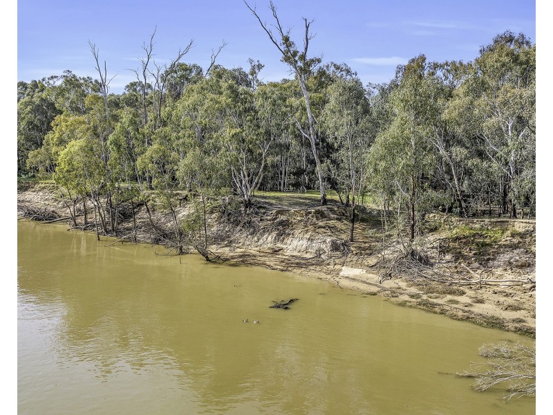 31 Grimison Road, Moama NSW 2731