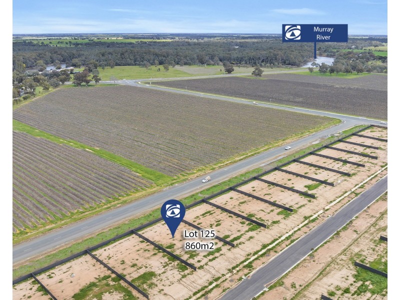 44 The Range Currawong Circuit, Moama NSW 2731