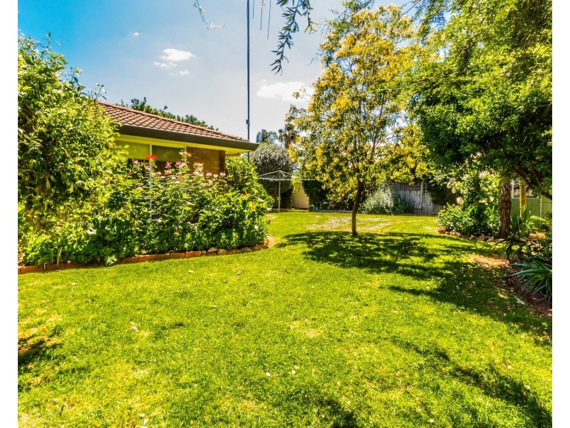 24 Hillview Avenue, Moama NSW 2731