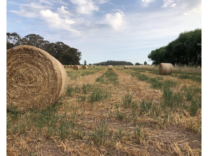 1757 Finlay Road, Tongala VIC 3621