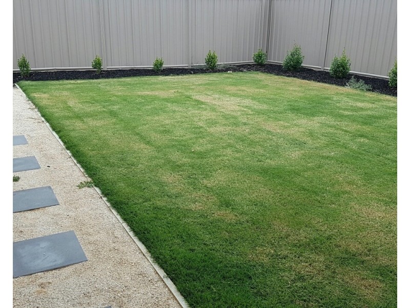 17 Cochrane Street, Echuca VIC 3564