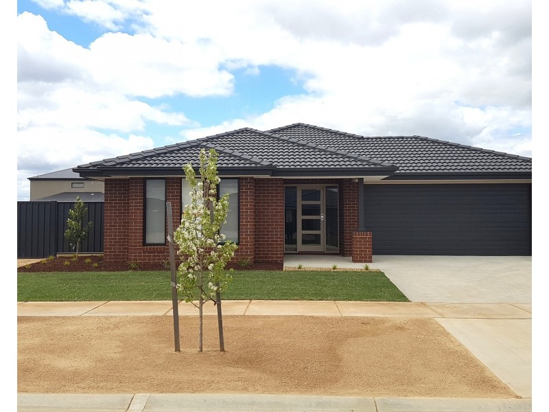20 Cleary Street, Echuca VIC 3564