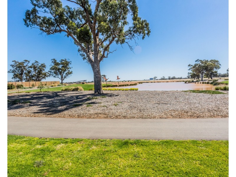 12 Apera Avenue, Moama NSW 2731
