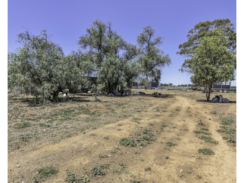 110 Griffith Road, Womboota NSW 2731