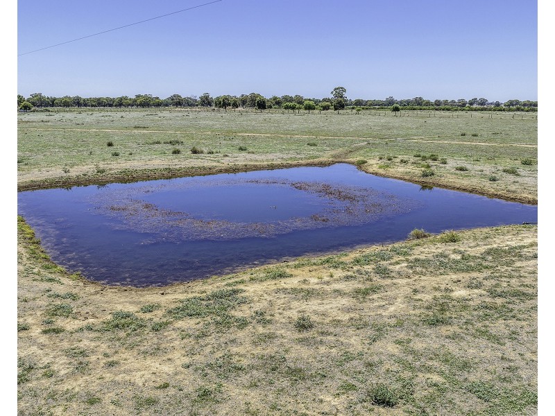 110 Griffith Road, Womboota NSW 2731