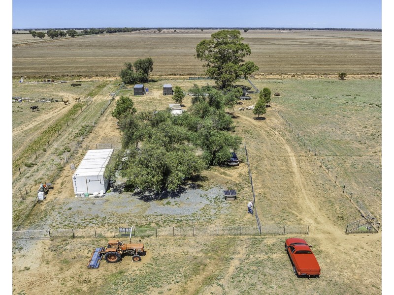 110 Griffith Road, Womboota NSW 2731