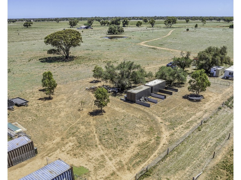 110 Griffith Road, Womboota NSW 2731