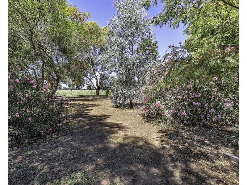 421 Mary Ann Road, Echuca VIC 3564
