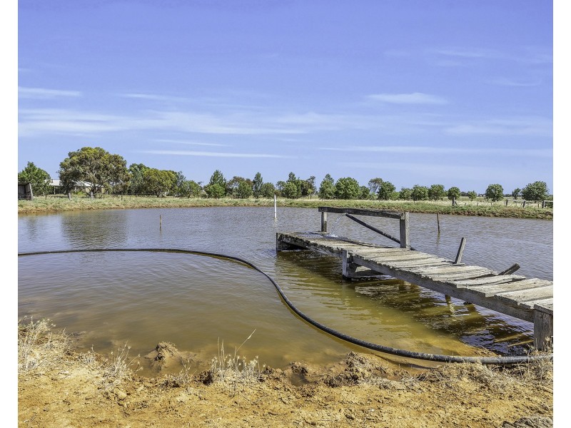 1222 Mount Terrick Road, Echuca VIC 3564