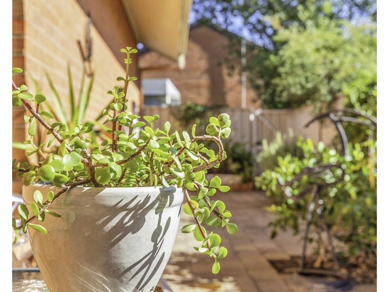 9/280 Anstruther Street, Echuca VIC 3564