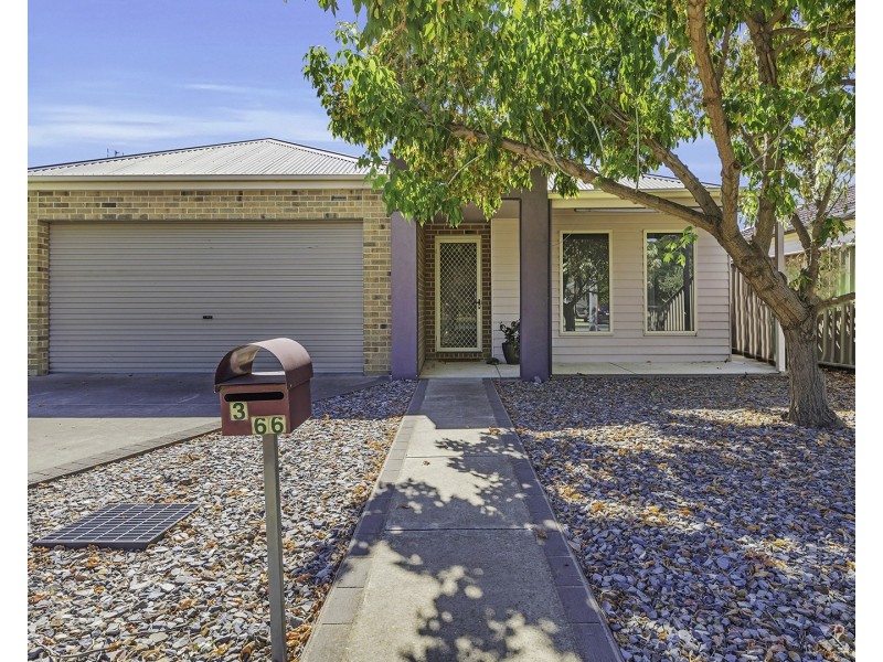3/66 Mitchell Street, Echuca VIC 3564