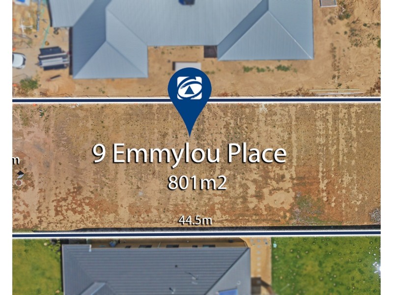 9 Emmylou Place, Moama NSW 2731