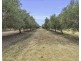 2096 Restdown Road, Echuca VIC 3564
