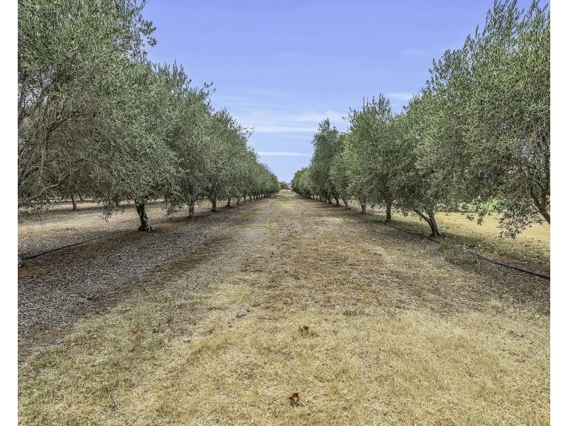 2096 Restdown Road, Echuca VIC 3564