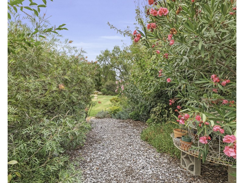 8 Pinot Court, Moama NSW 2731