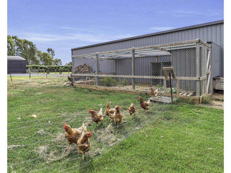 5 Furlong Court, Echuca VIC 3564
