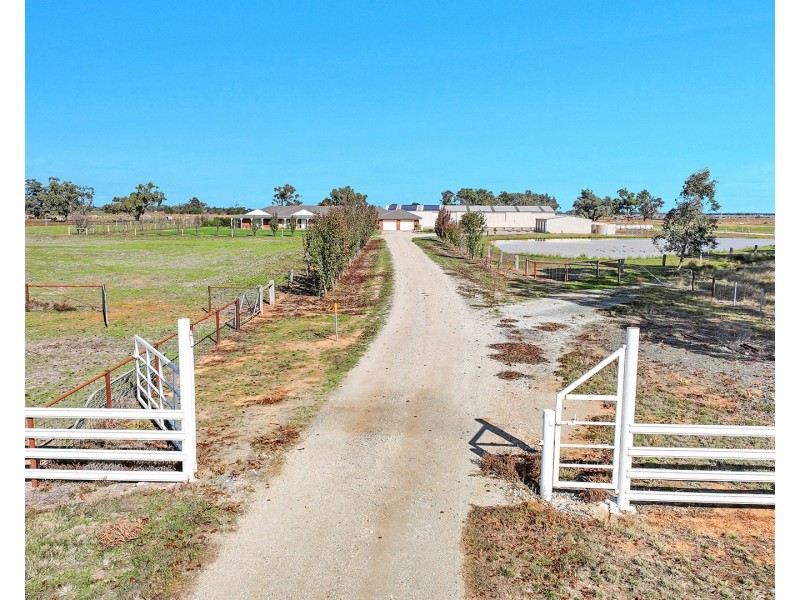 1413 Murray Valley Highway, Echuca VIC 3564
