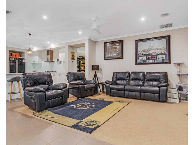 17 Shiraz Court, Moama NSW 2731