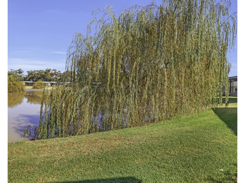 58/96 Old Barmah Road, Moama NSW 2731