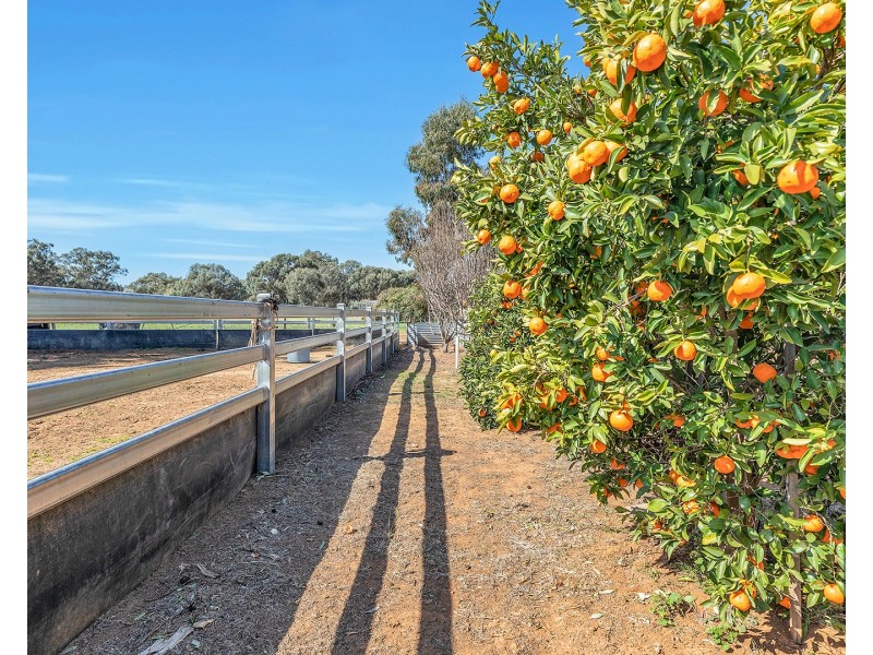 322 Cobb Highway, Moama NSW 2731