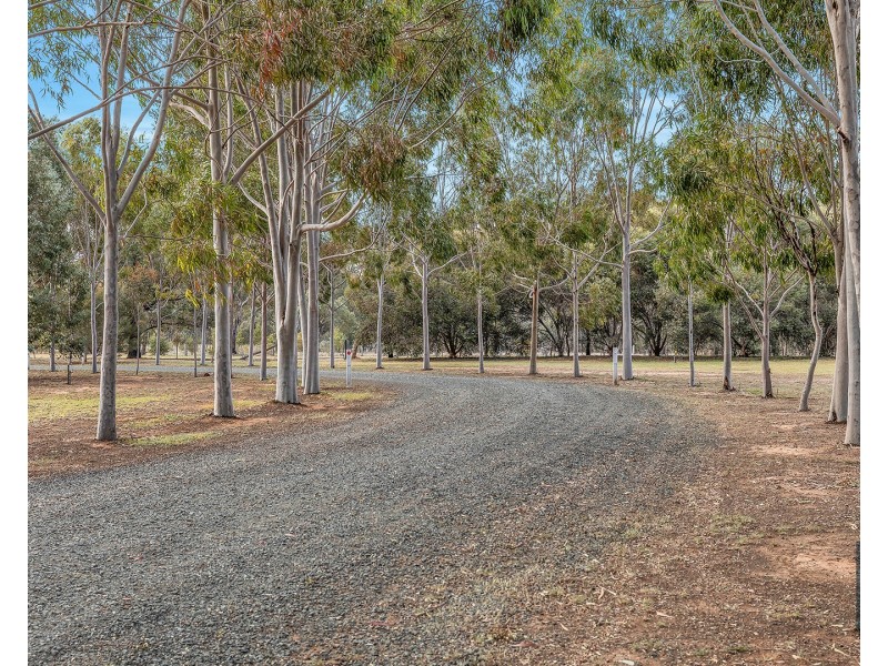 100 Peppernell Road, Echuca VIC 3564