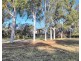100 Peppernell Road, Echuca VIC 3564