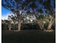 78 Campbell Road, Echuca VIC 3564