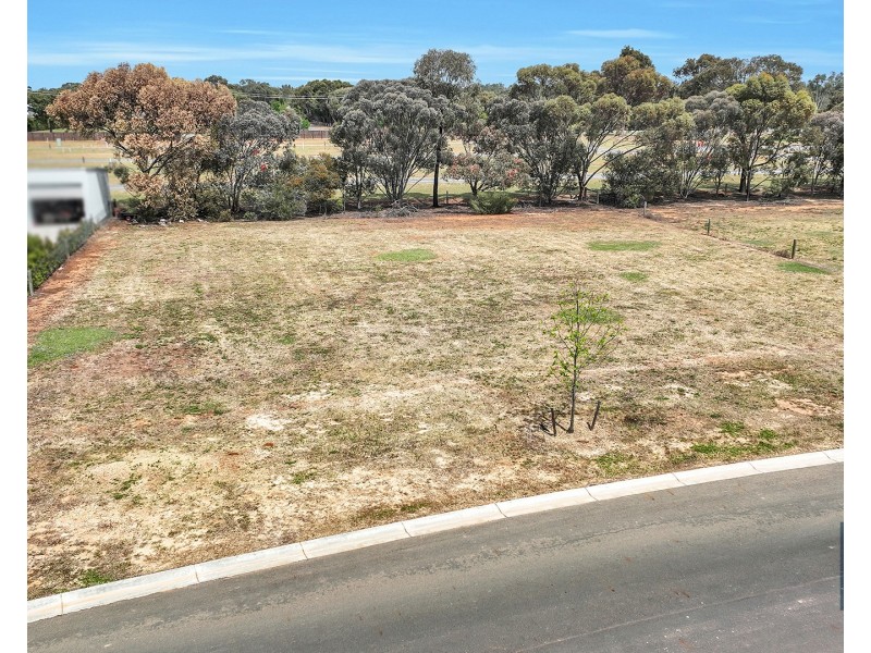 7 Bayaderra Court, Moama NSW 2731