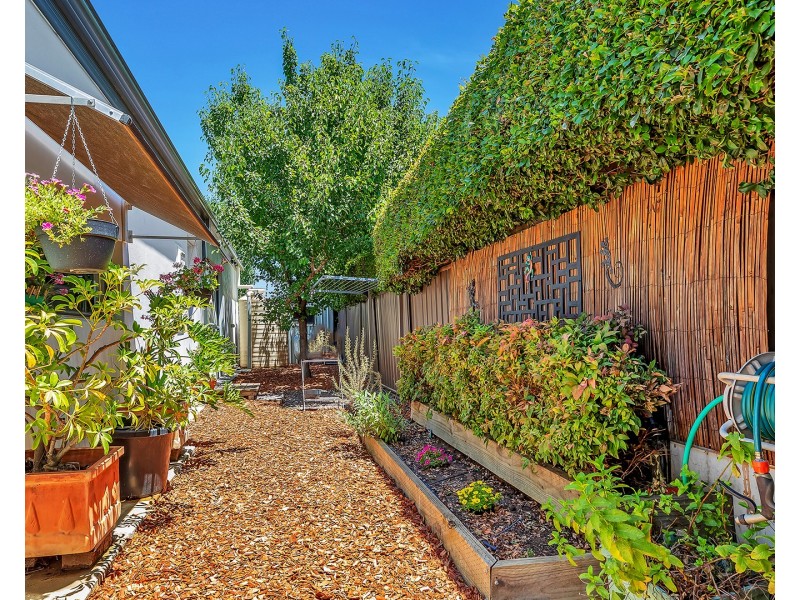 11 Gardner Court, Moama NSW 2731