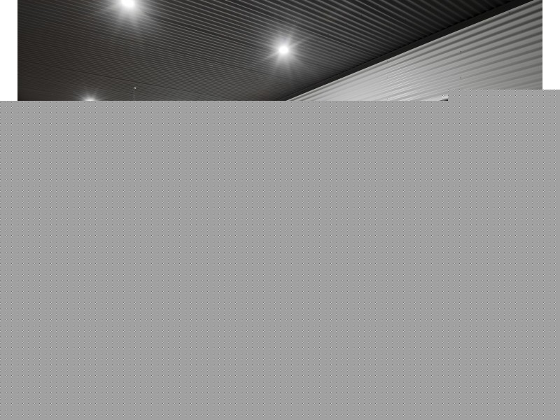 18 Riesling Drive, Moama NSW 2731