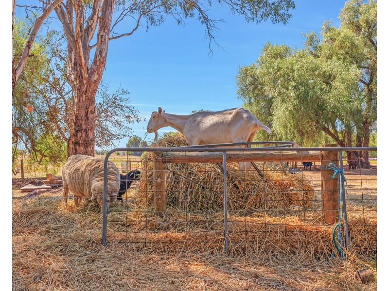 1520 Simmie Road, Strathallan, Echuca VIC 3564