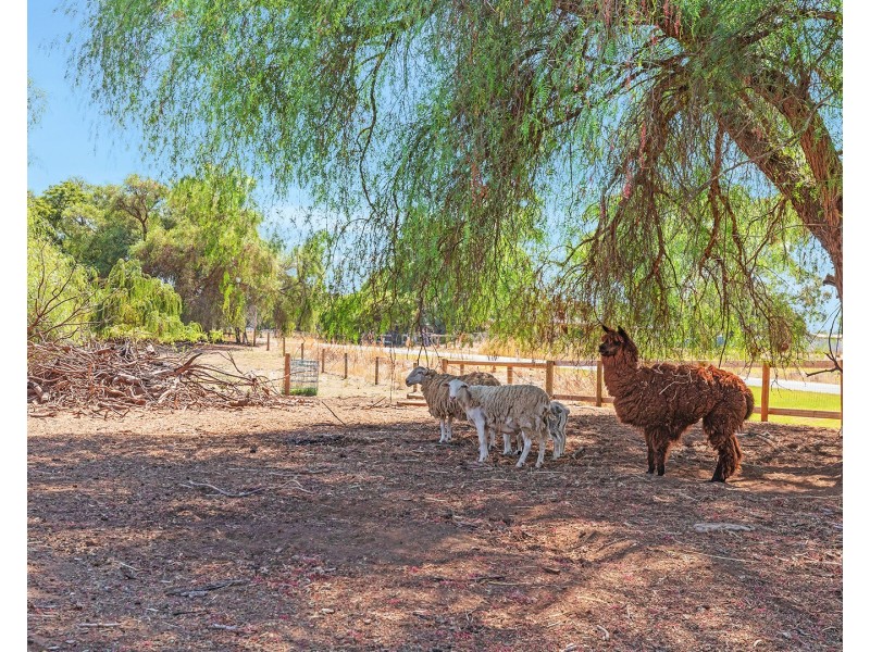1520 Simmie Road, Strathallan, Echuca VIC 3564