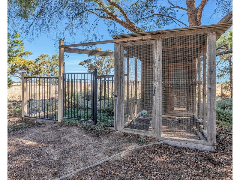 9 Wharparilla Drive, Echuca VIC 3564