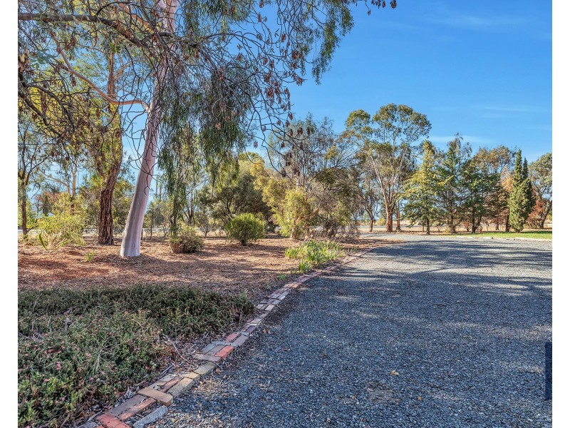 329 Mount Terrick Road, Echuca VIC 3564