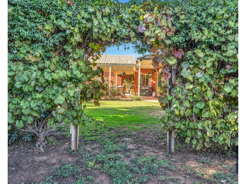 97 River Gums Drive, Moama NSW 2731