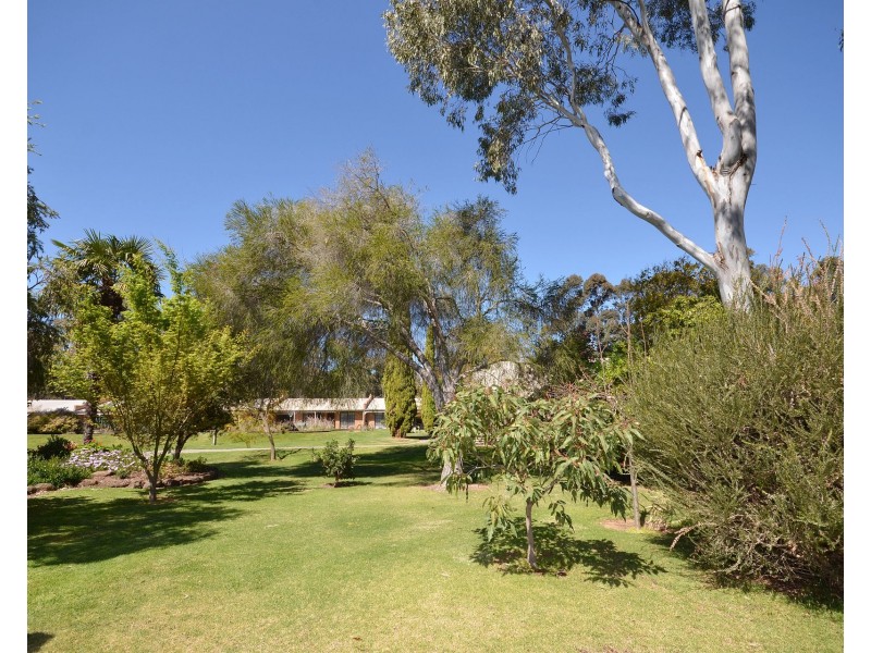 7/61 Regent Street, Moama NSW 2731