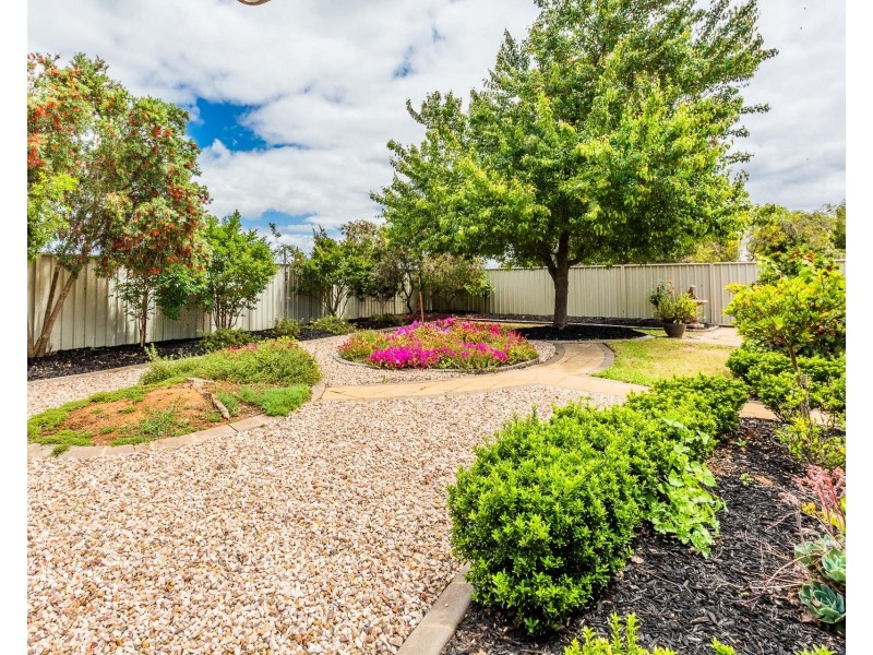 12 Sunrise Avenue, Moama NSW 2731