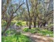 70 Schoeffel Drive, Echuca VIC 3564