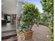67 Swan Boulevard, Moama NSW 2731