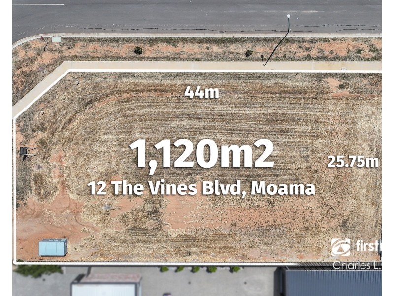 12 The Vines Boulevard, Moama NSW 2731