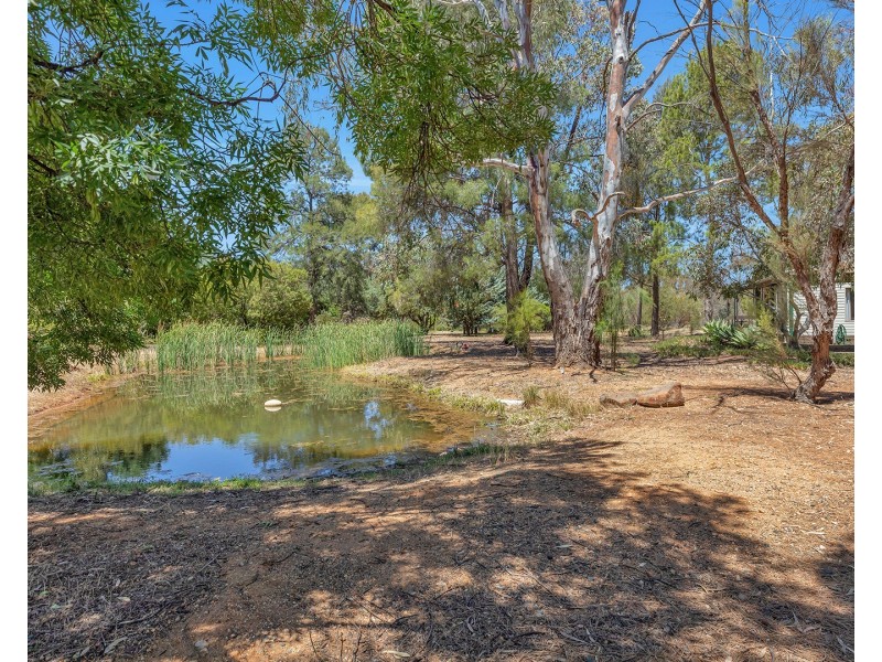 55 Layfield Road, Moama NSW 2731