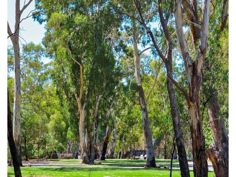 208 Wharparilla Drive, Echuca VIC 3564