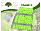 12 Honeyeater Street, Moama NSW 2731