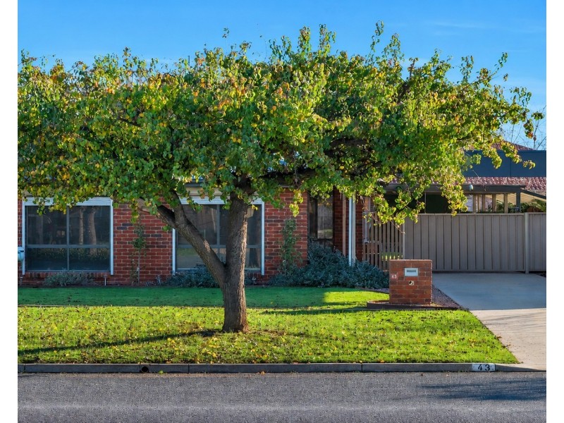 43 Hume Street, Echuca VIC 3564