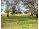 1485 Mount Terrick Road, Echuca VIC 3564