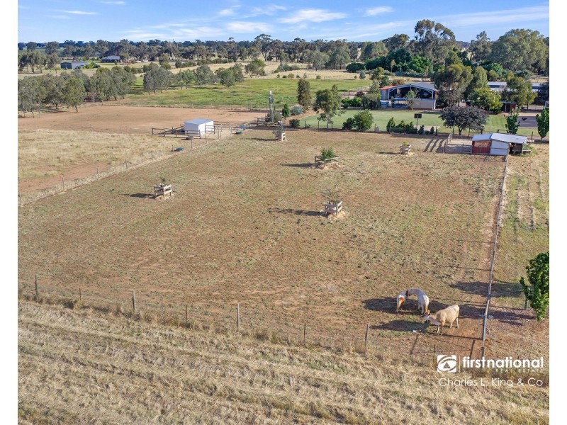 162 Tandarra Road, Moama NSW 2731
